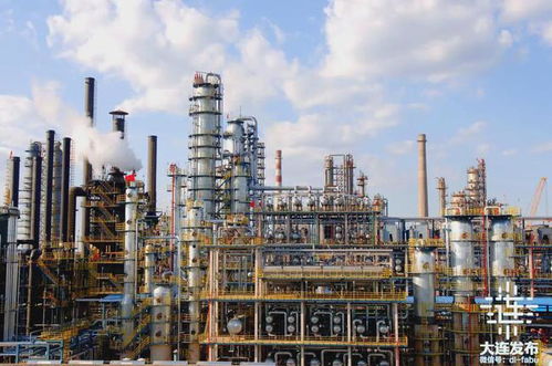 我家住在金普新區